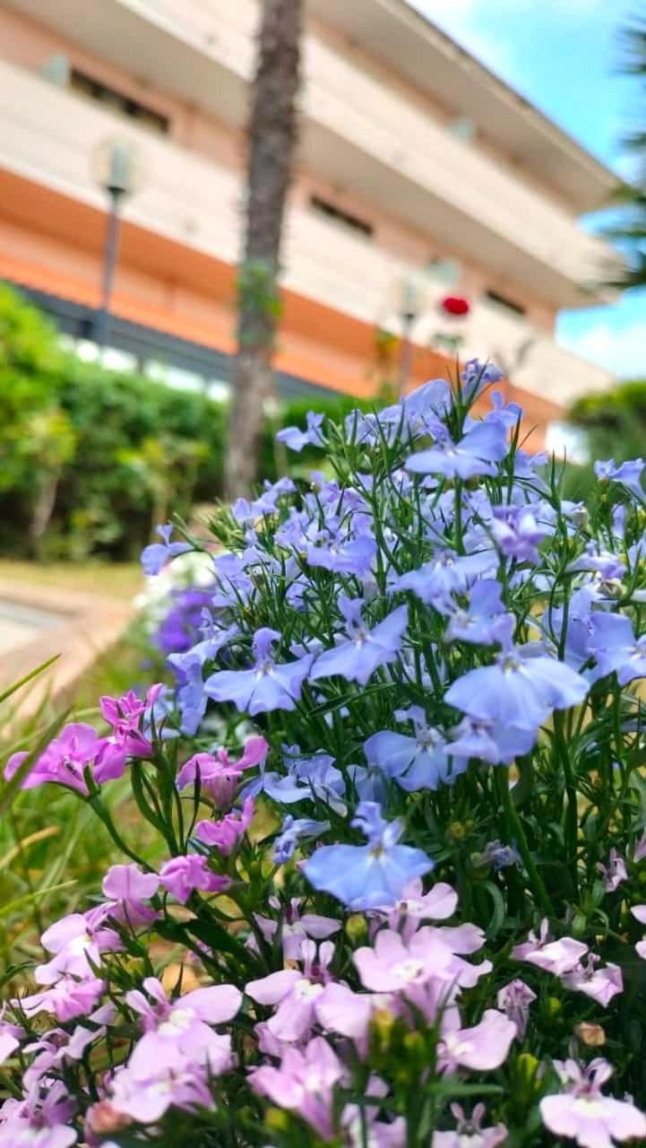 Green Sporting Club Hotel Alghero Ngoại thất bức ảnh